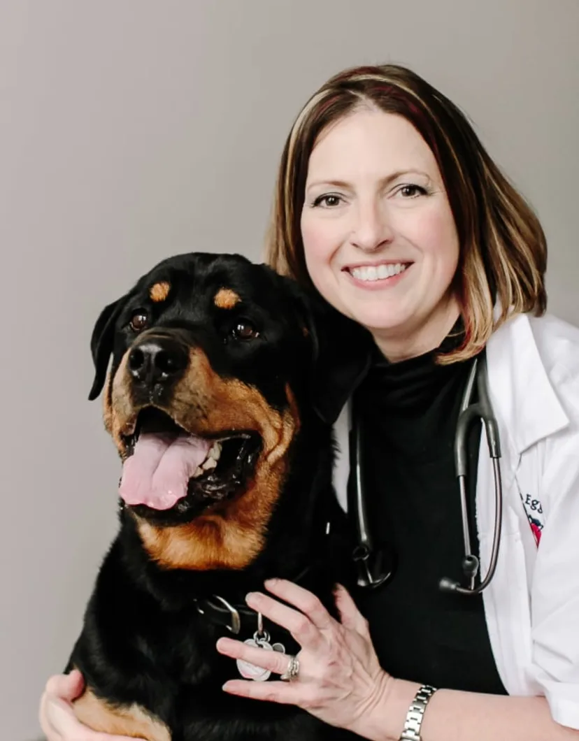 Dr. Jennifer LoVullo with large rottweiler